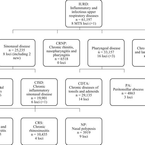 The Iurd Phenotype Structure Based On Genetic Correlation Between