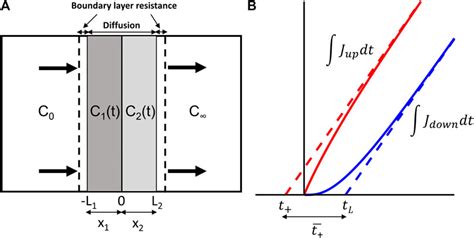 Frontiers Transient Diffusion In Bi Layer Composites With Mass