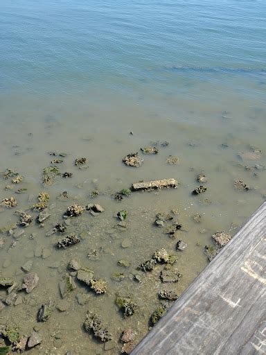 Fortress Castillo De San Marcos Reviews And Photos S Castillo Dr