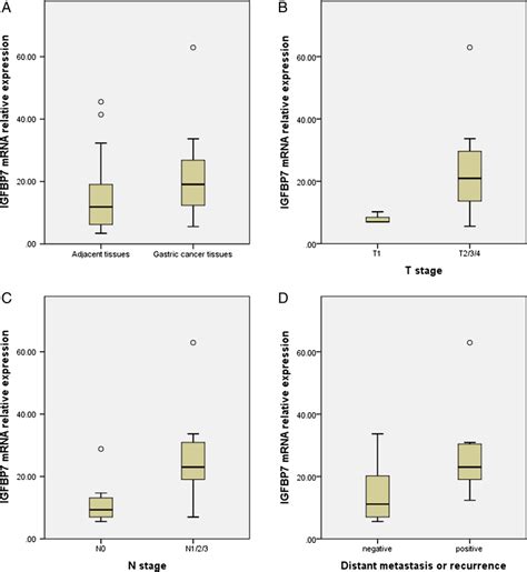 Insulin Like Growth Factor Binding Protein Igfbp Mrna Expression