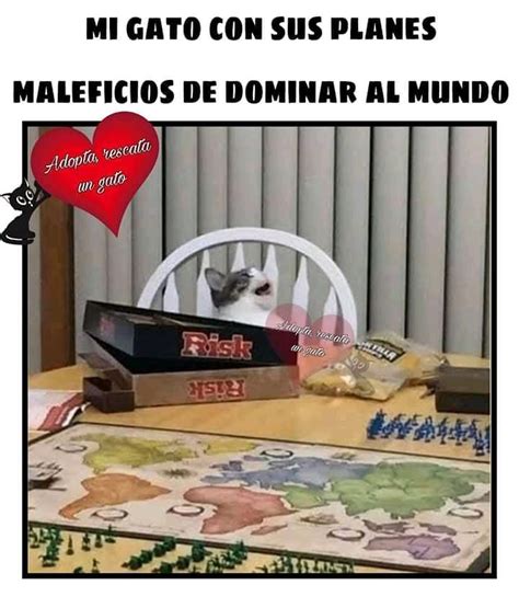 Meme Gato Preto Vontade De Dominar O Mundo - Mi gato con sus planes maleficios de dominar al mundo. - Memes