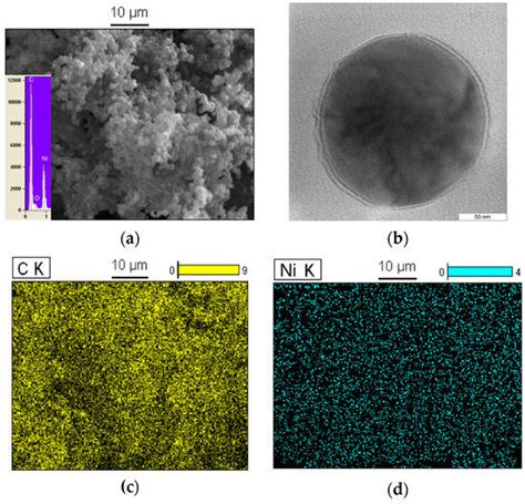 Polymers Free Full Text Coreshell Structure Of Ninio Encapsulated