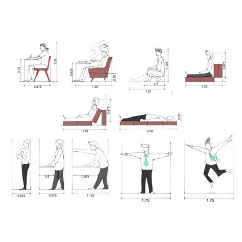 History And Basics Of Anthropometry