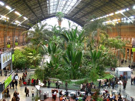 Atocha Railway Station in Madrid is the inspiration for Zootopia ...