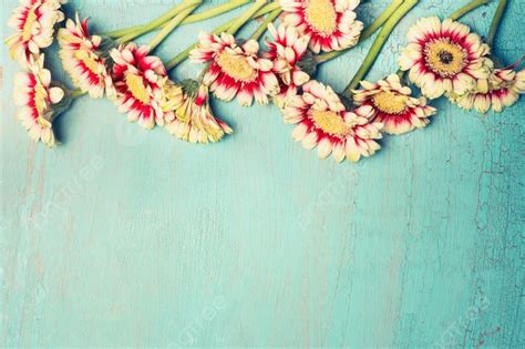 Pretty Daisies Or Gerbera Flowers On Turquoise Blue Shabby Chic