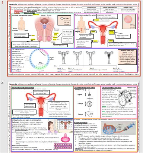 Human Reproduction Teaching Resources