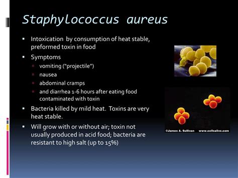 Ppt Foodborne Pathogens It Can Be Classified Into Three Forms