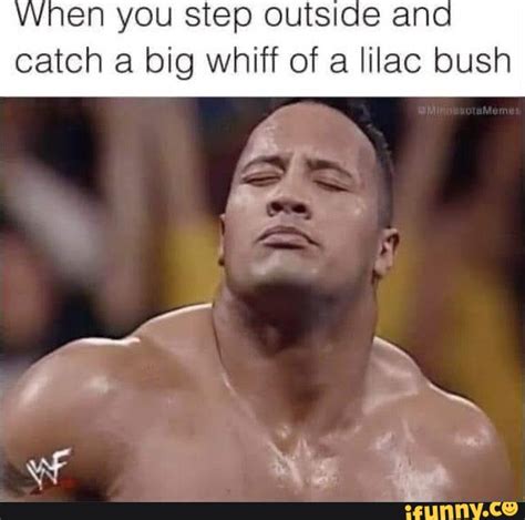 When You Step Outside And Catch A Big Whiff Of A Lilac Bush IFunny