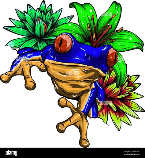 Tropical Frog With Flowers Vector Illustration Image Stock Vector Image