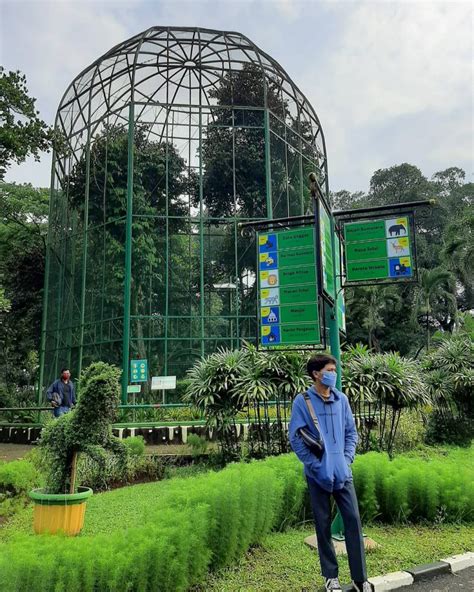 Piknik Keluarga Sambil Mengenalkan Dunia Flora Dan Fauna Kepada Buah