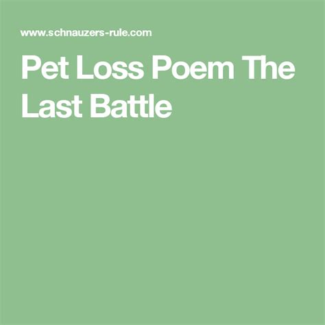 Pet Loss Poem The Last Battle Pet Loss Poem Pet Loss Last Battle