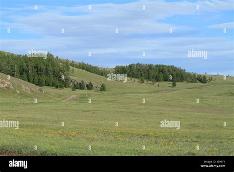 steppe central asia Stock Photo - Alamy