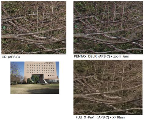 Ricoh GR Image Quality Comparison With Fuji X Pro1 Canon G1x G15 Sony