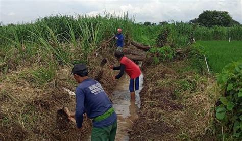 Tim Gerak Cepat Dinas Pupr Diturunkan Normalisasi Saluran Air Di