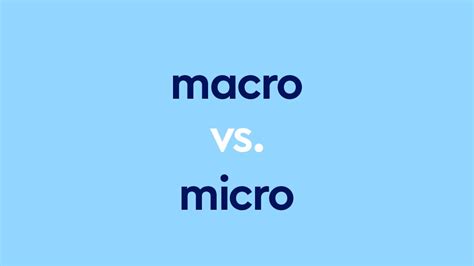 Macro Vs Micro The Big And Small Difference Dictionary