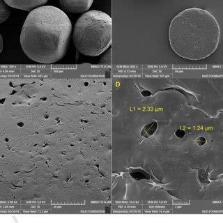 FTIR Spectra Of Microspheres Drug CIP And Polymers PVA And CA