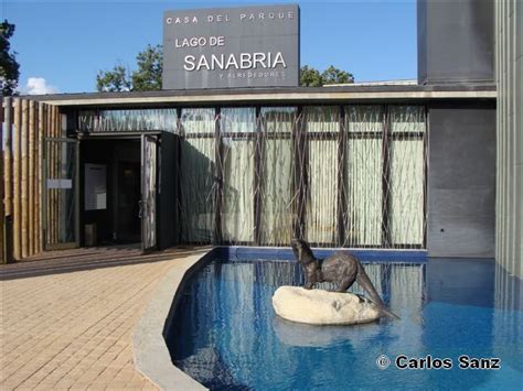 Amigo Lobo Blog Lobero De Carlos Sanz El Documental Coexistencia Del