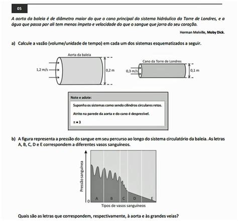 Fuvest 2017 veja a prova do segundo dia da segunda fase Educação G1