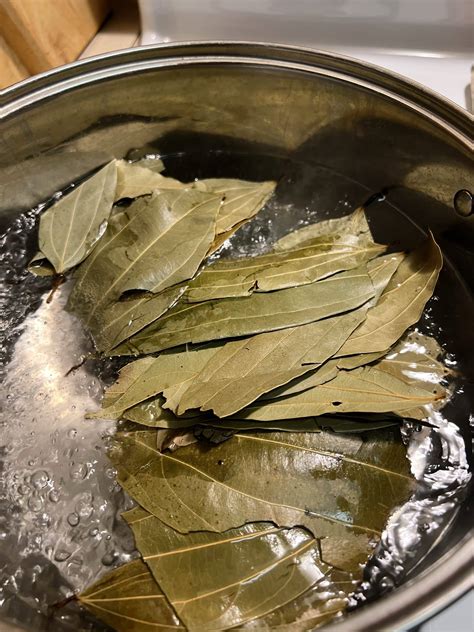 8 Spiritual Benefits Of Taking A Bay Leaf Bath Shamonique