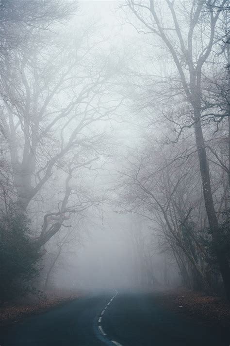 Creepy Fog Wallpapers Top Free Creepy Fog Backgrounds Wallpaperaccess