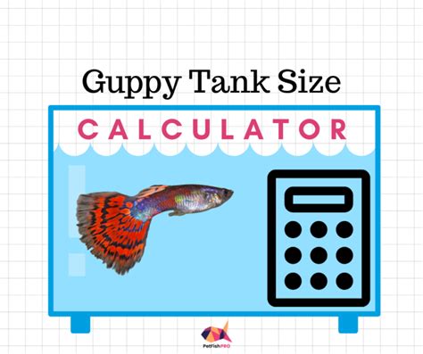 How Many Guppies In A 10 Gallon Tank Calculator In Litres Gallons