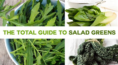 Total Guide To Salad Greens Benefits Of Leafy Greens