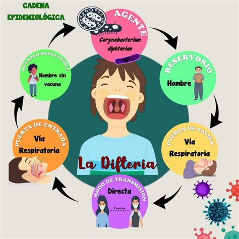 Cadena epidemiológica difteria ABC 123 uDocz