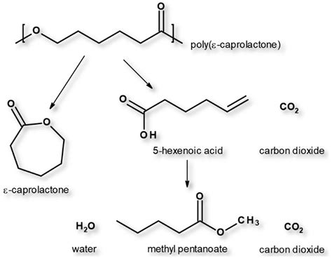 Polymers Free Full Text Structural And Thermo Mechanical Properties