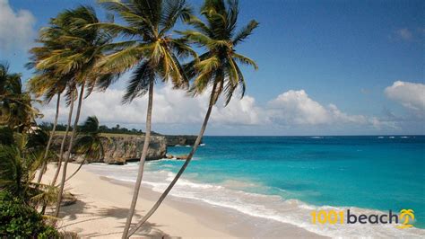 beaches  barbados