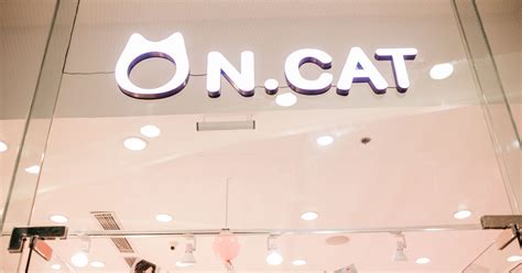 N Cat Philippines Is Finally Opening At Festive Walk Mall Iloilo