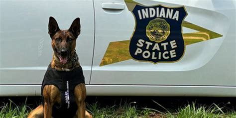 Indiana State Polices K9 Daisy Receives Body Armor Donation