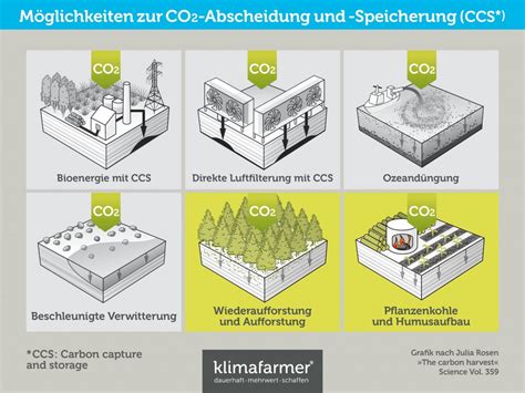 Klimarelevanz Darmst Dter Pflanzenkohle