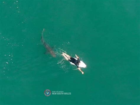 Drone Video Captures Surfers Close Encounter With Shark In Australia