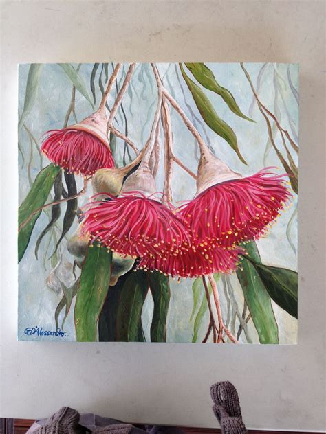 Australian Native Flowers Drawing