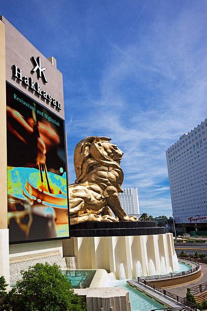 60+ Mgm Lion Statue Stock Photos, Pictures & Royalty-Free Images - iStock