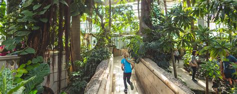 Guide to the United States Botanic Garden in DC | Washington DC