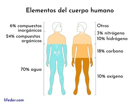 Elementos Biogen Sicos Concepto Caracter Sticas Tipos Funciones