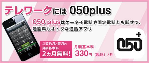 キウイ 一族 食品 スマホ 050 ハイキング 気分 洪水