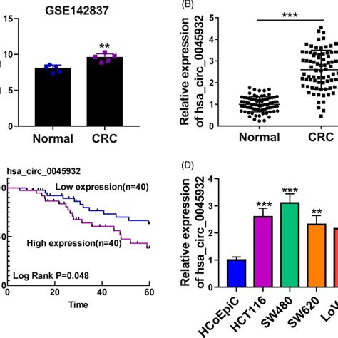 High Expression Of Hsa Circ 0045932 Was Observed In CRC A