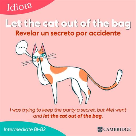 Idiom Let The Cat Out Of The Bag Cambridge Blog