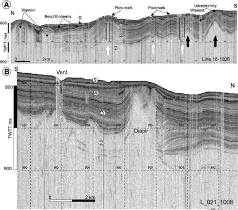 A Seismic Reflection Profile Showing Folds And Acoustic Wipeouts We Download Scientific