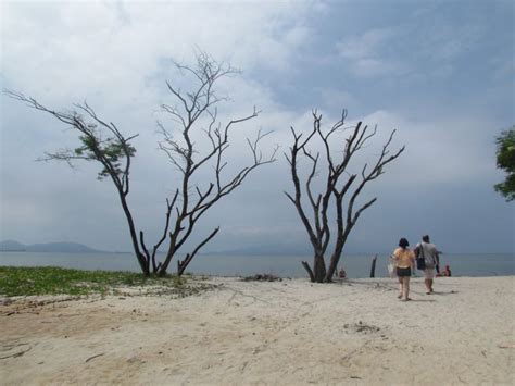 Praia Da Reserva Do Sahy Mangaratiba Rio De Janeiro Em Rio De