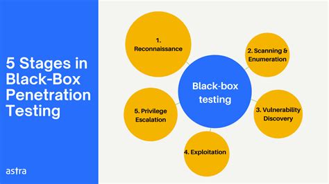 Black Box Penetration Testing A Complete Guide