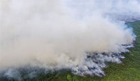 Penanganan Kabut Asap Dan Karhutla Di Kalimantan Dan Sumatera Menteri