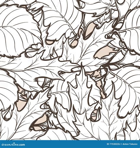 Autumn Deciduous Leaves Seamless Pattern Stock Vector Illustration Of