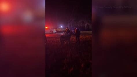 Circus Animals Rescued From Fire On Indiana Highway Au
