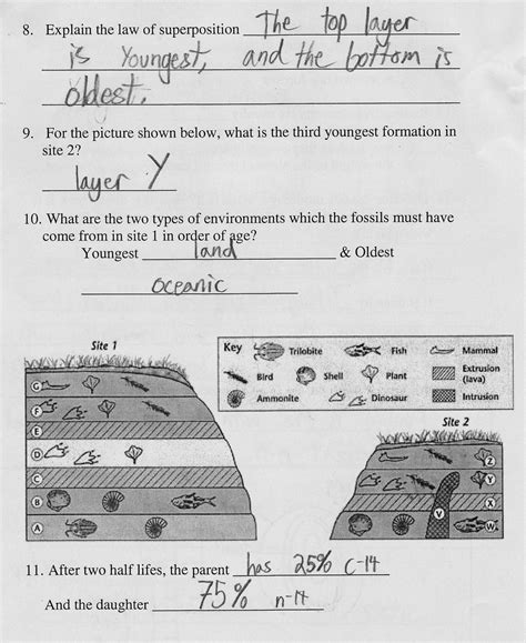 Relative Dating Worksheet Answer Key