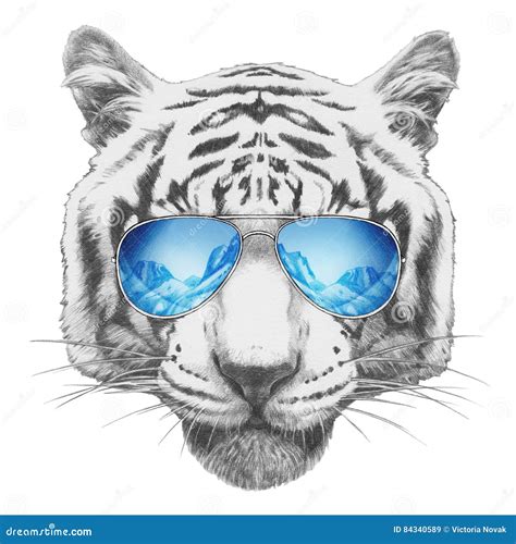 Portrait Of Tiger With Mirror Sunglasses Stock Illustration Illustration Of Girl Pencil