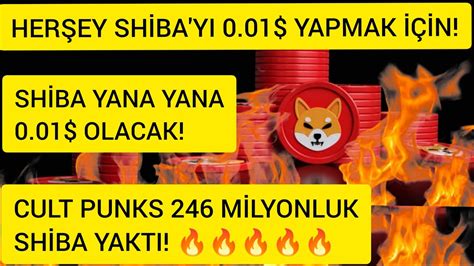 SHİBA COİN SON DAKİKA SHİBA İNU YANA YANA 0 01 OLACAK CULT PUNKS 246