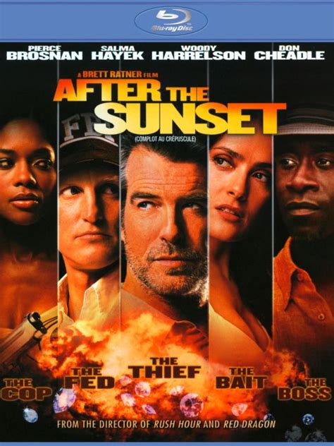 After the Sunset (2004) - Brett Ratner | Synopsis, Characteristics, Moods, Themes and Related ...